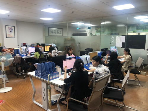 廣州企業(yè)一站式服務(wù)指南 從公司注冊(cè)到納稅申報(bào)全解析